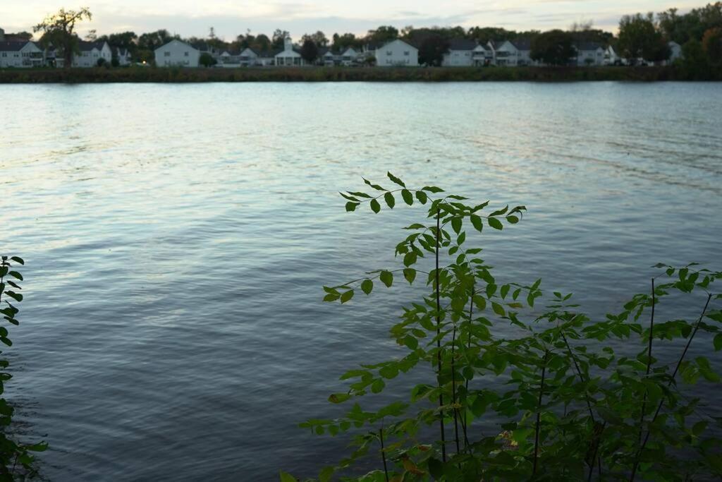Apartament Queen Bed Beautiful Sunset W River View Fast Wifi Troy Zewnętrze zdjęcie
